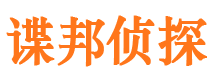 向阳侦探公司